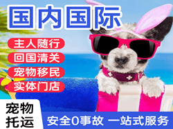 徐州空运公司国际宠物托运 【国